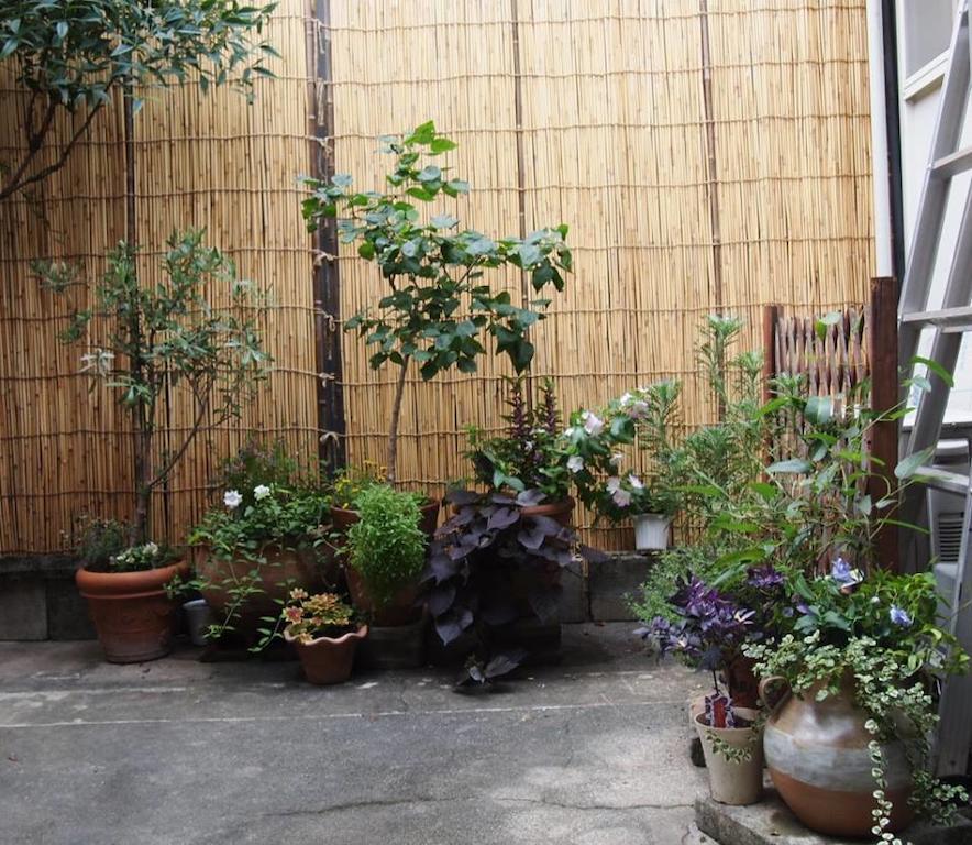Guesthouse Usagi-Momiji Kyōto Esterno foto